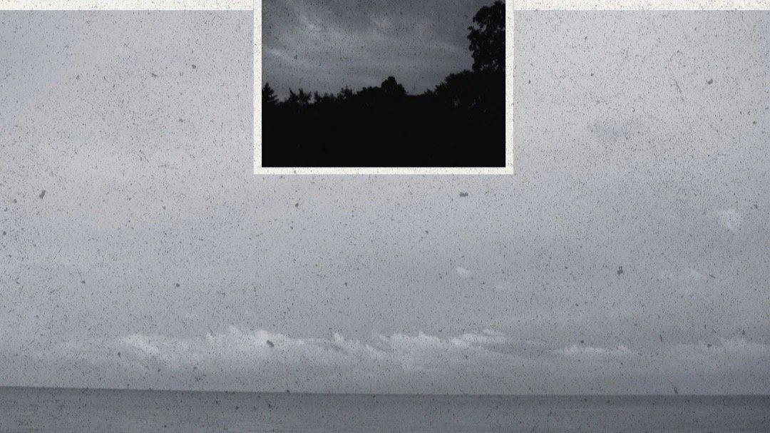 Zach Sorkin "Wisp" feat. Domenic Rigazzi Quartet