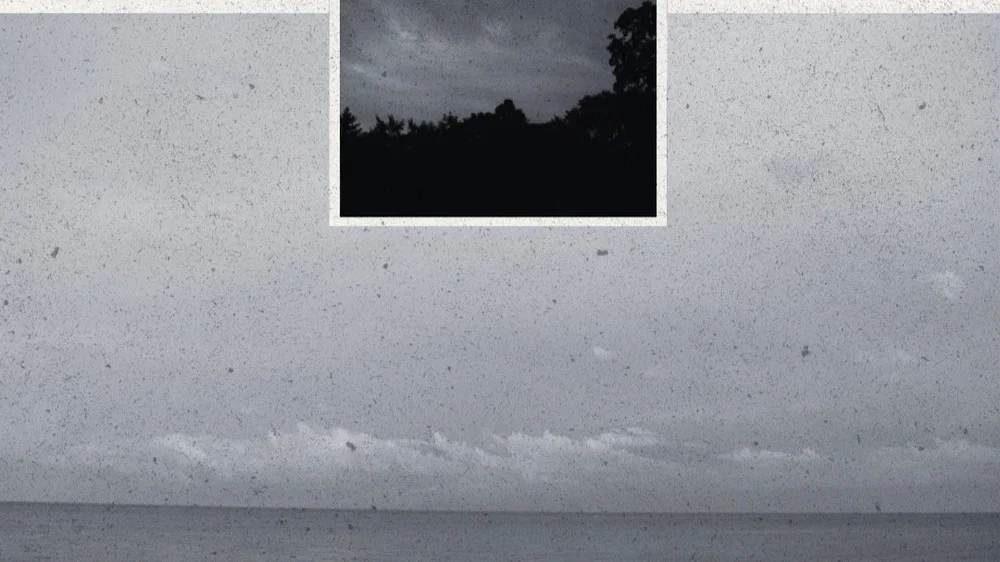 Zach Sorkin "Wisp" feat. Domenic Rigazzi Quartet artwork from The Lilypad
