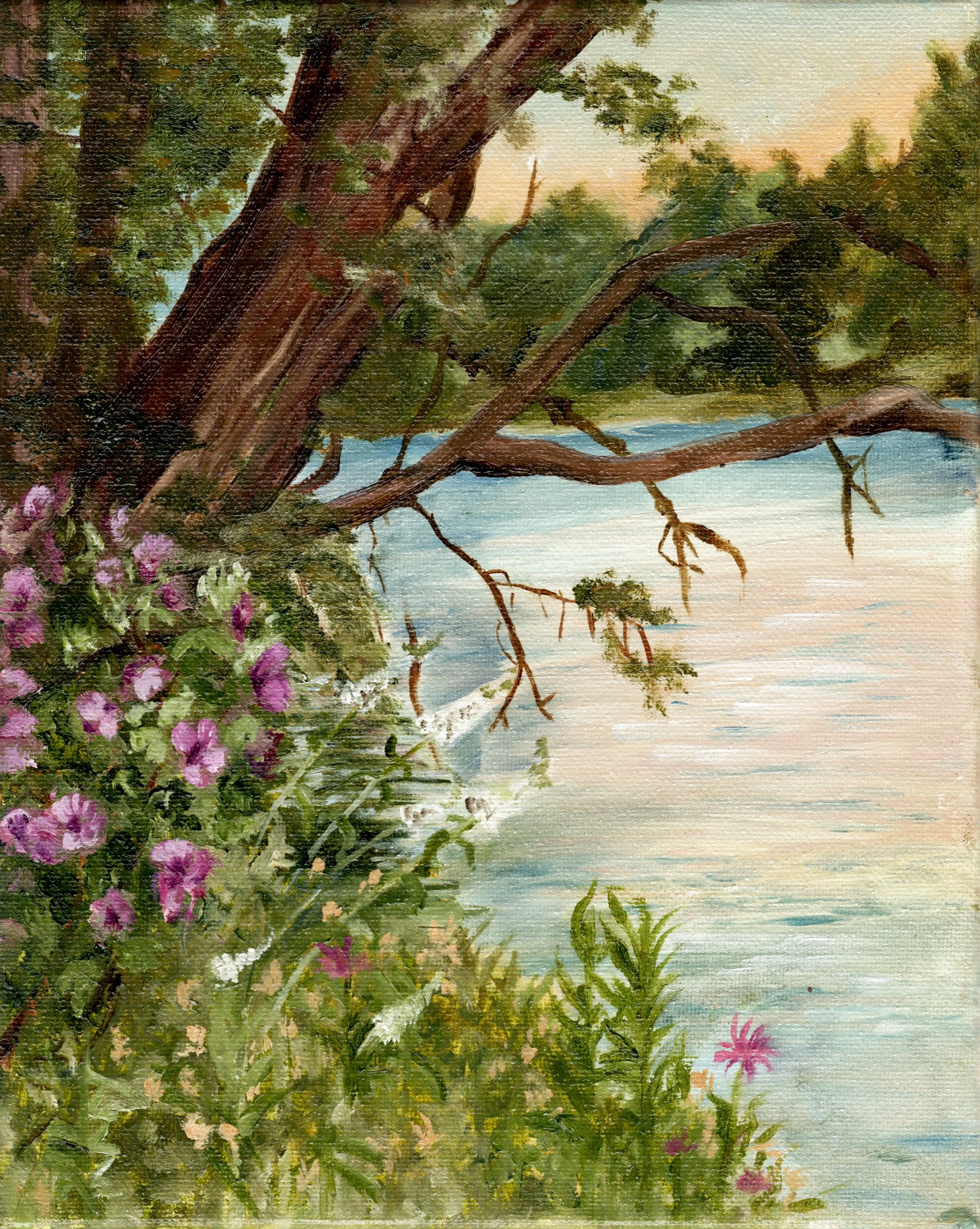 lakejunawebsite.jpg