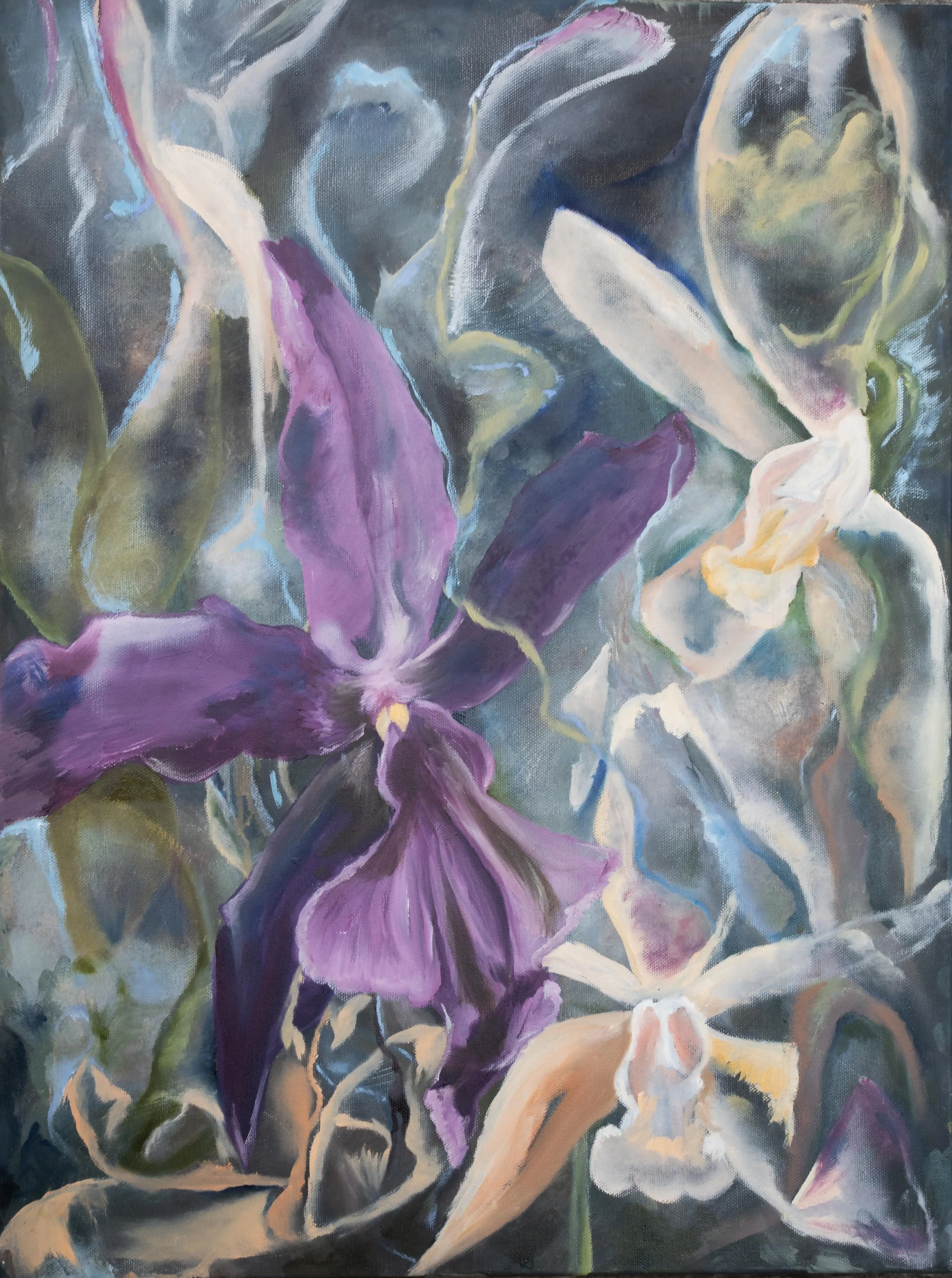 PurpleOrchid555A7393 copy.jpg