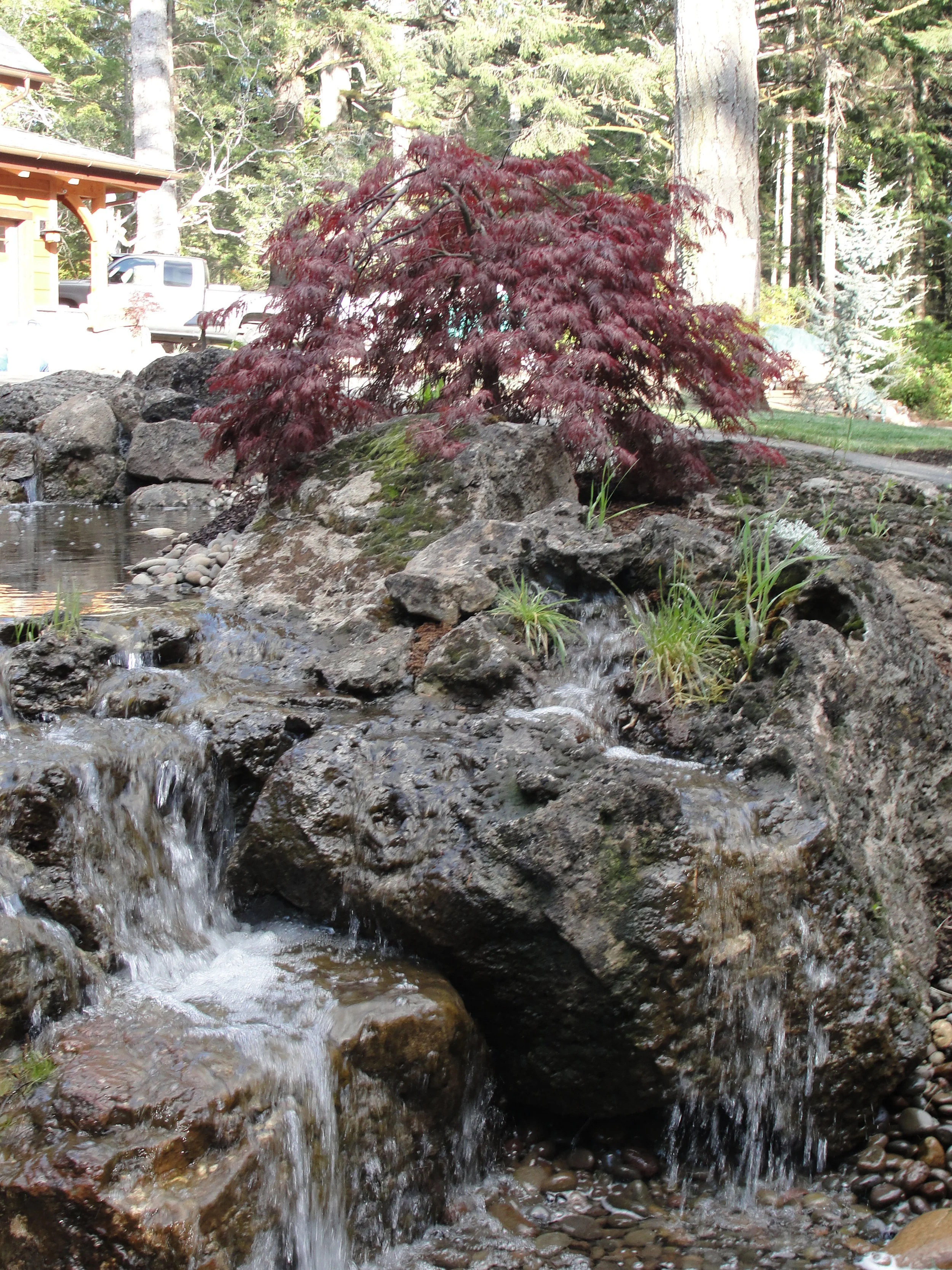 Florence landscape 009.JPG