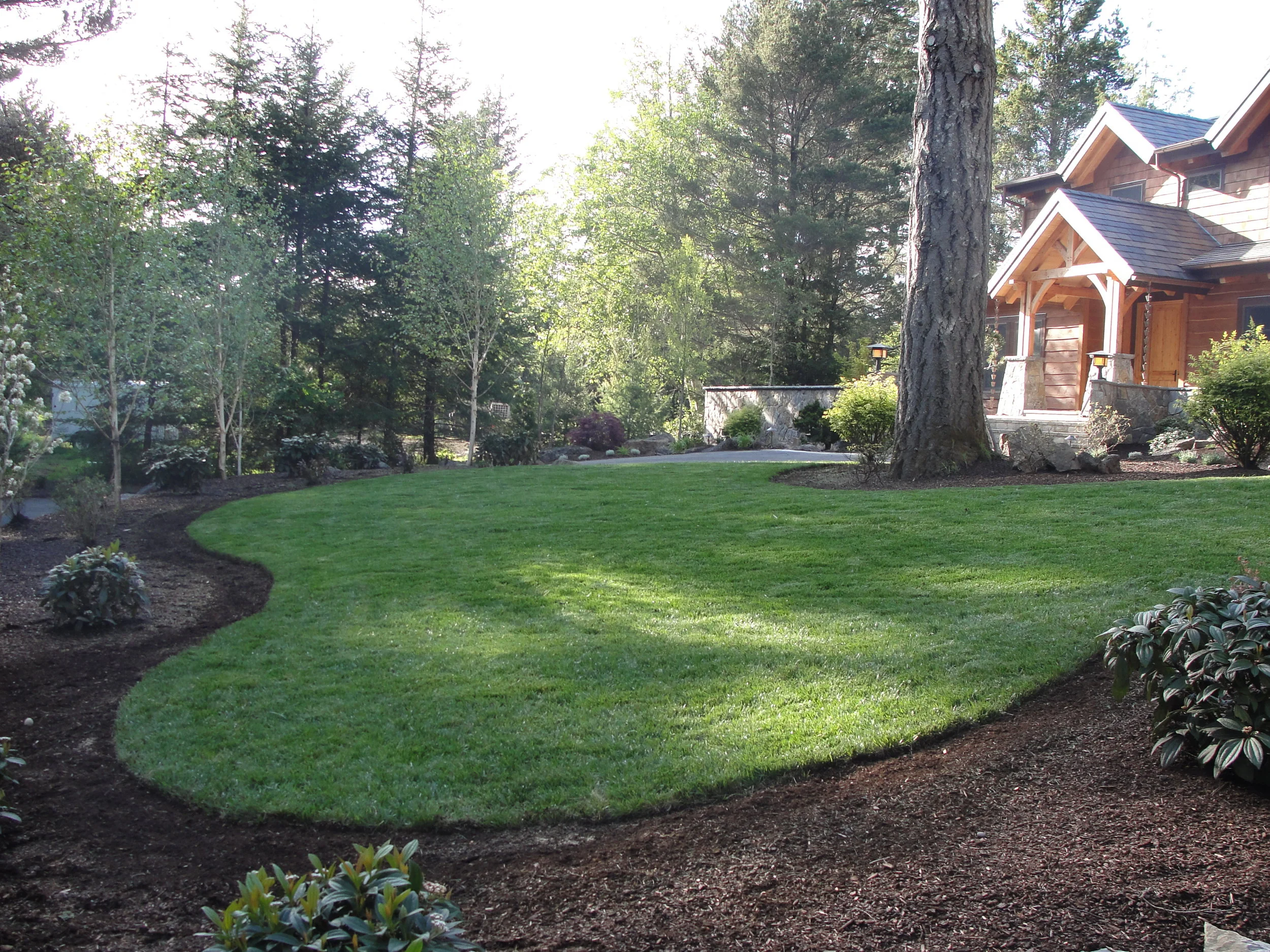 Florence landscape 022.JPG