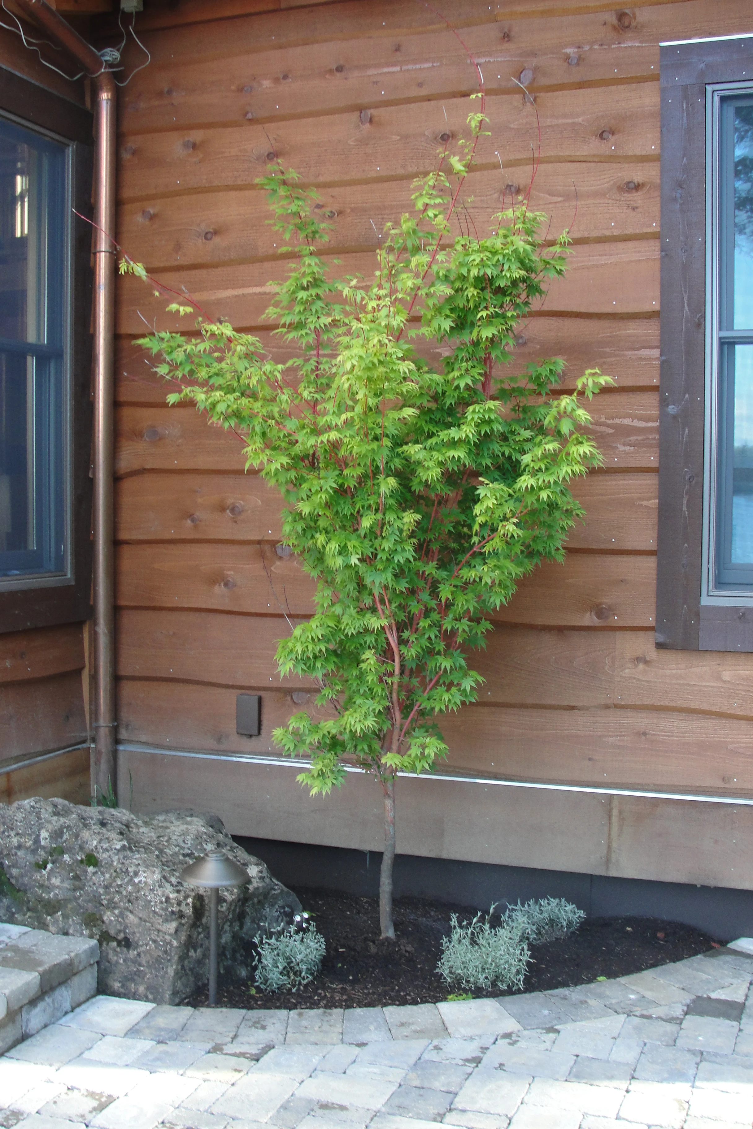 Florence landscape 063.JPG