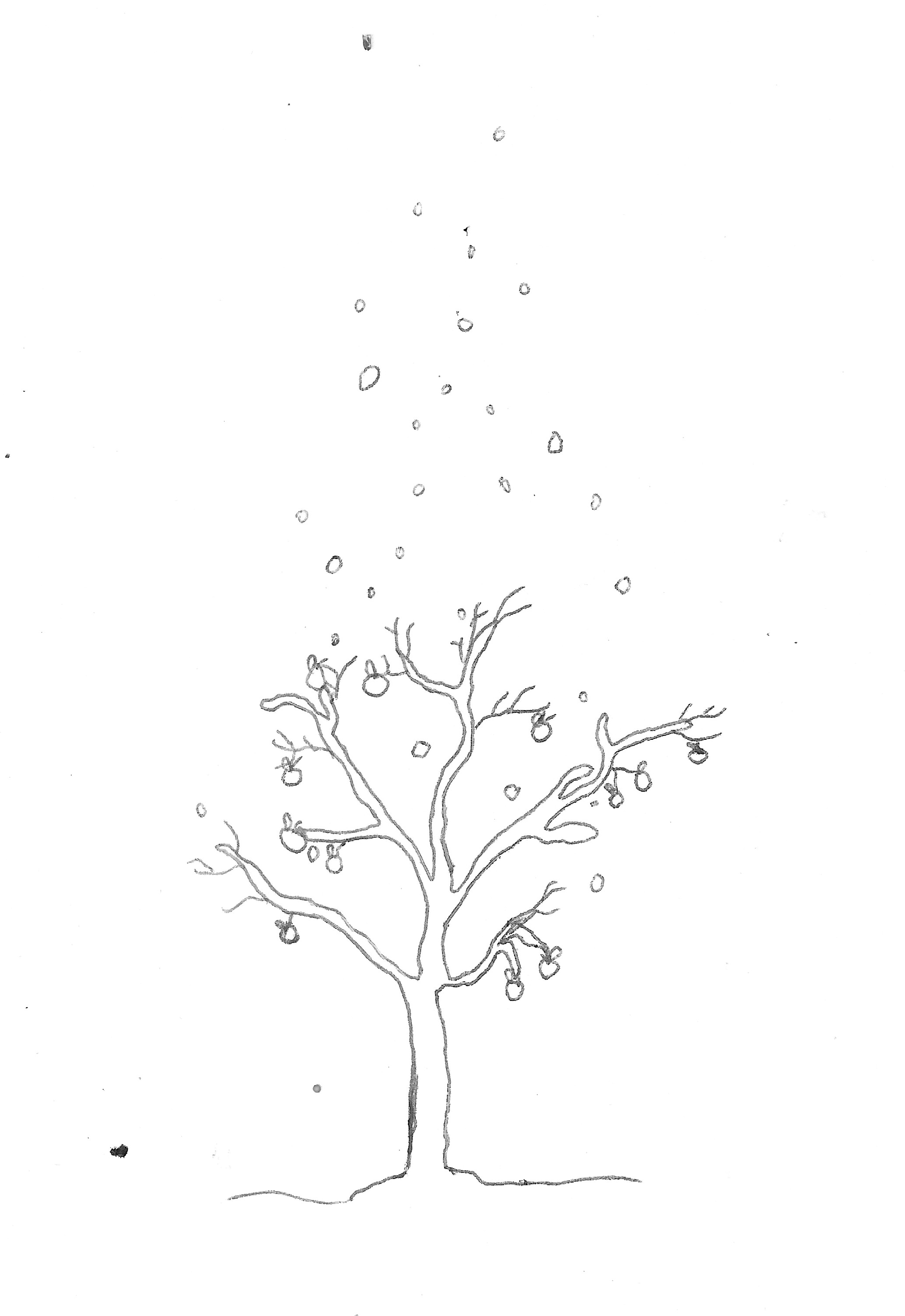 HRFSketch 1.jpeg