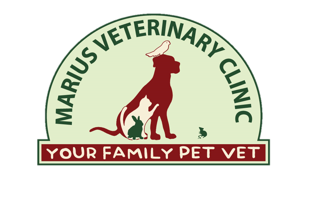 Marius Small Animal Veterinary Clinic