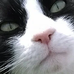 Our Website is Live (click here)