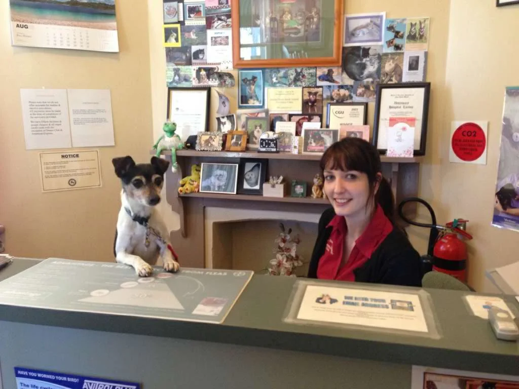 reception bonsai and casey.jpg