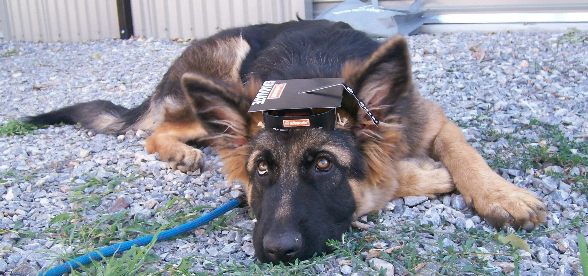 Sasha graduation2.jpg