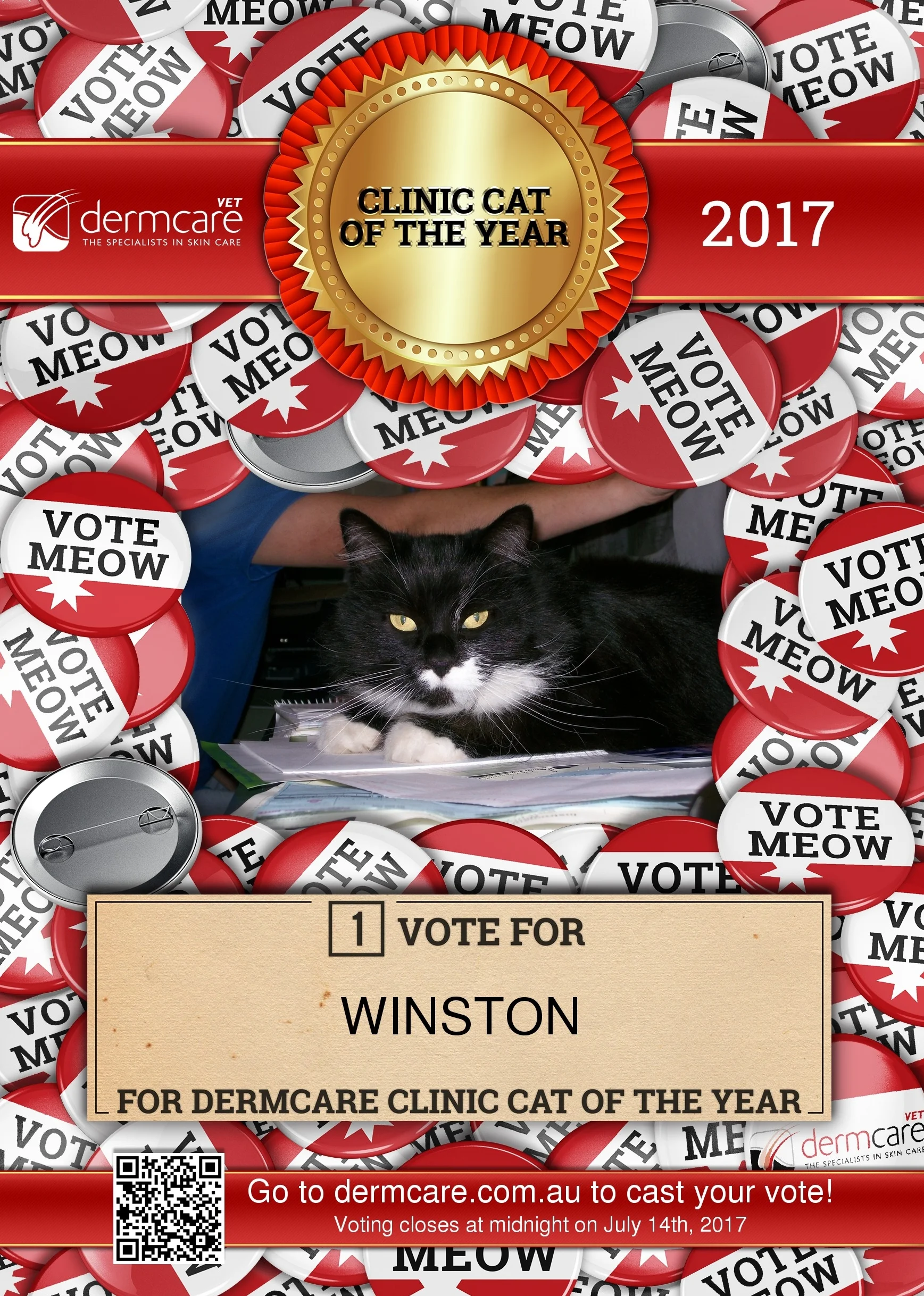 Vote for Winston! (click here)