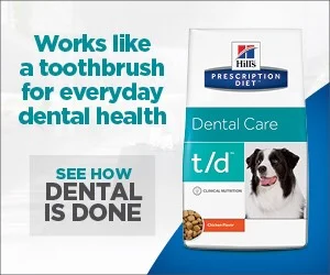 August is Pet Dental Month