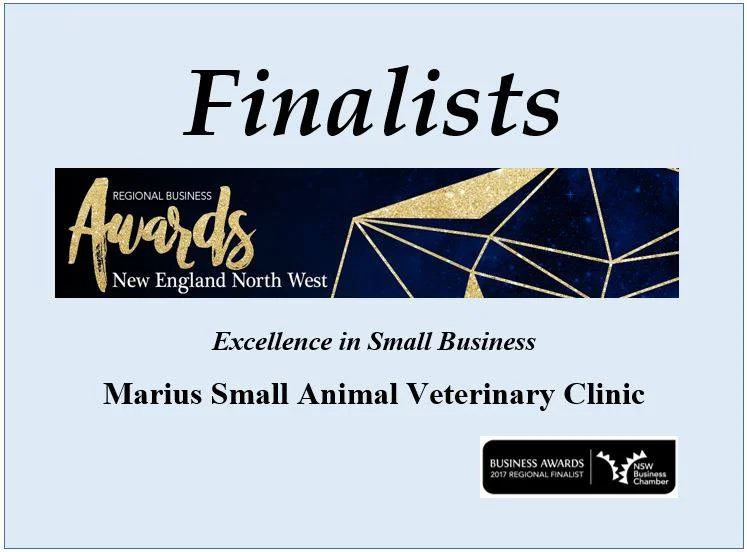 Finalist in the New  England Northwest Regional Business Awards (click for more)