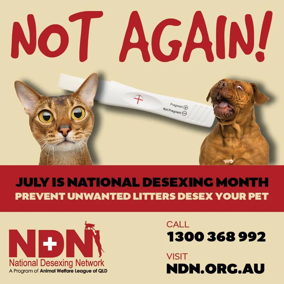 National Desexing Month July 2018