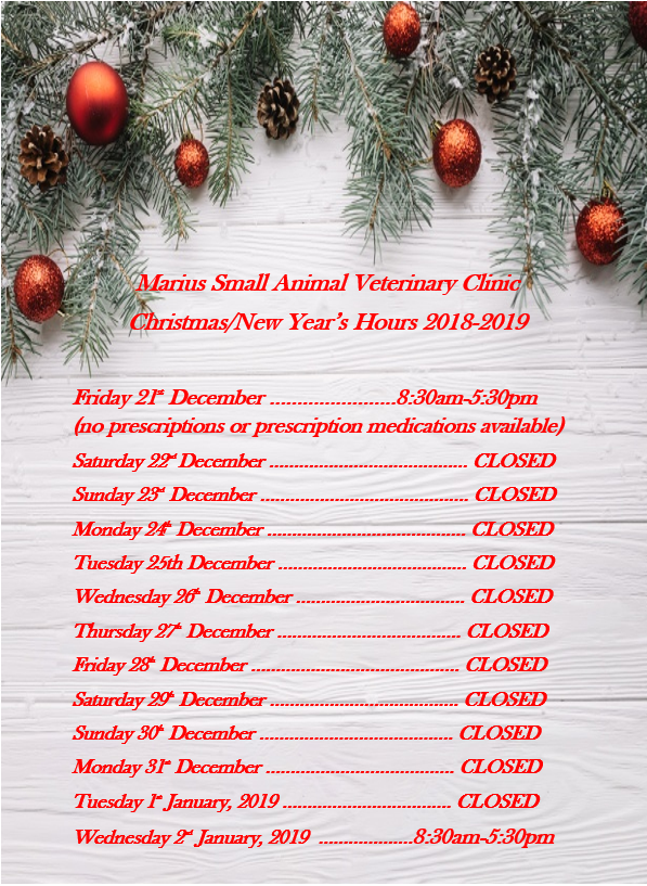 Christmas/New Year's Trading Hours