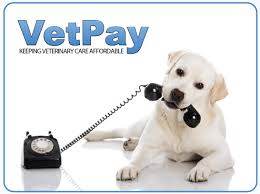 VETPAY is now HERE! 