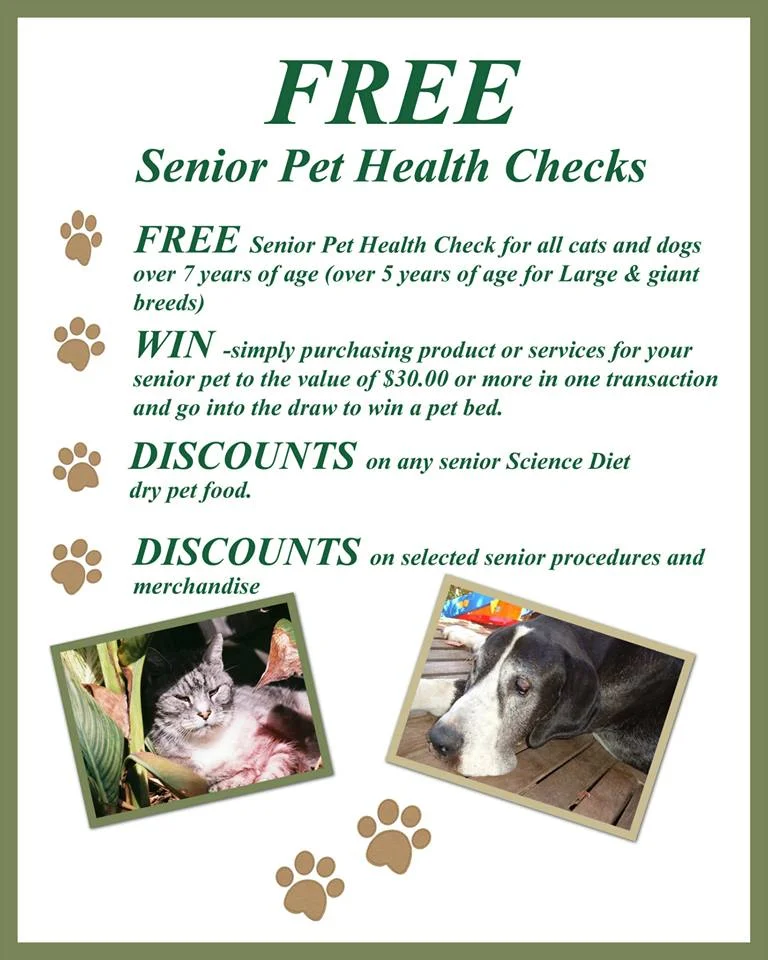 June is Senior Month