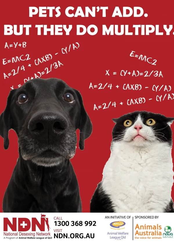 National Desexing Month this July