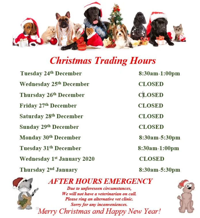 Christmas/New Year's Trading Hours