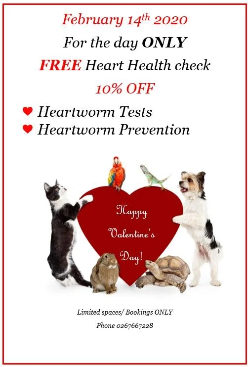 Happy Valentine's Day!