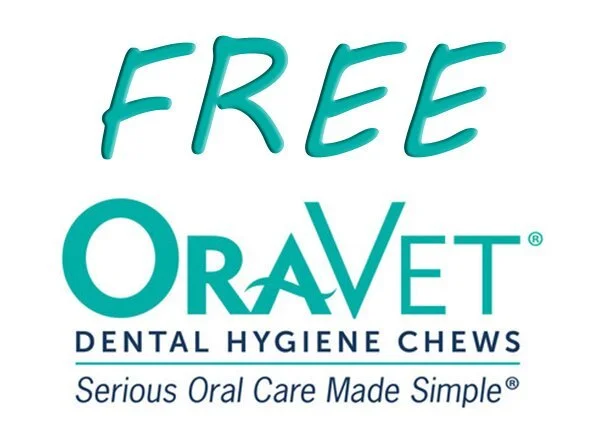 August is Pet Dental Month!