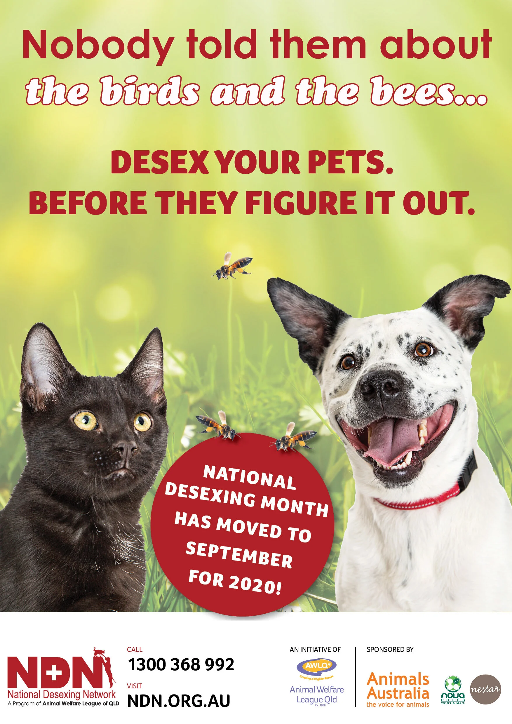September 2020 is National De-sexing Month