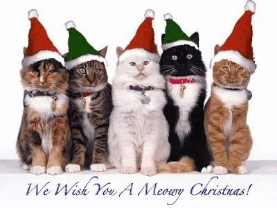 Merry Christmas!  Our 2021 Trading hours over the Holidays