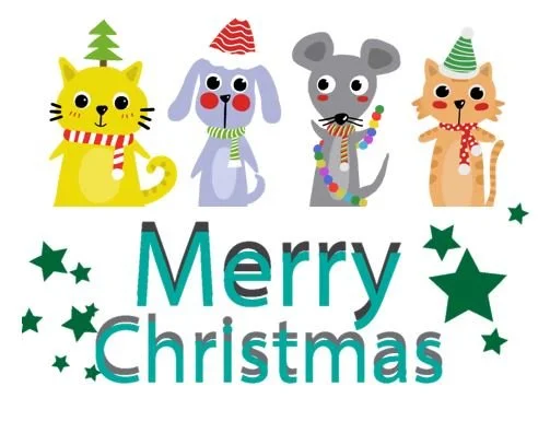 MERRY CHRISTMAS &amp; HAPPY NEW YEAR! Our Christmas trading hours are as follows: (click here)