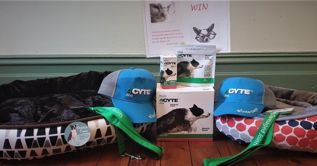 For the month of June 2020, all senior pet owners who spend $30 or more (in one transaction) will automatically go into the draw to win one of these lovely prizes. Thank you to Interpath 4cyte for your sponsorship in this give away. (this raffle is i