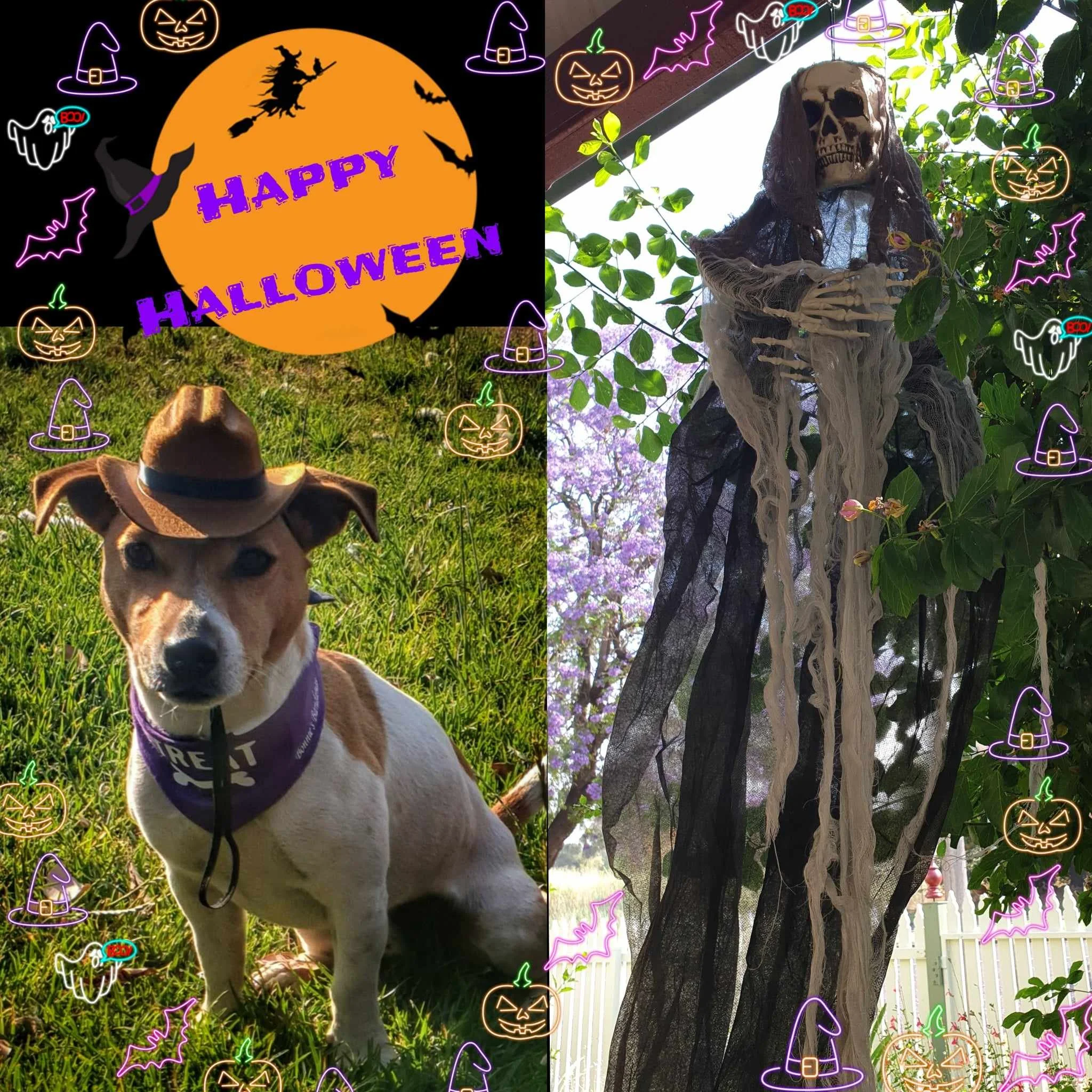 HAPPY HALLOWEEN!