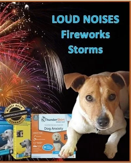 FIREWORKS/THUNDERSTORMS/LOUD NOISES