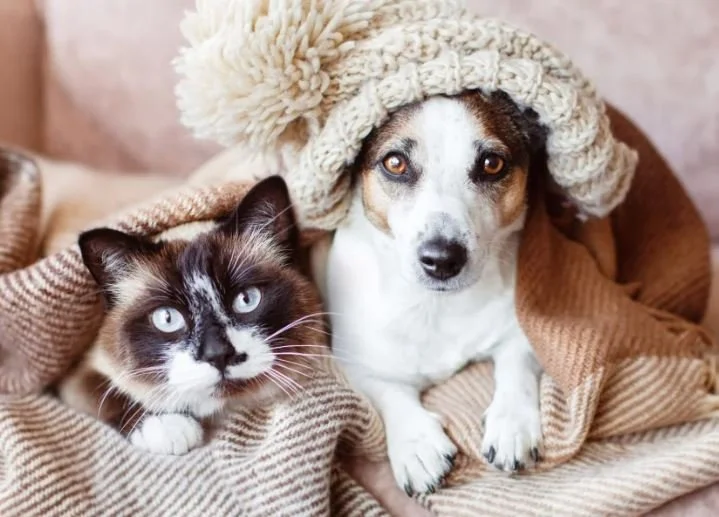 Winter is here! (click here) 