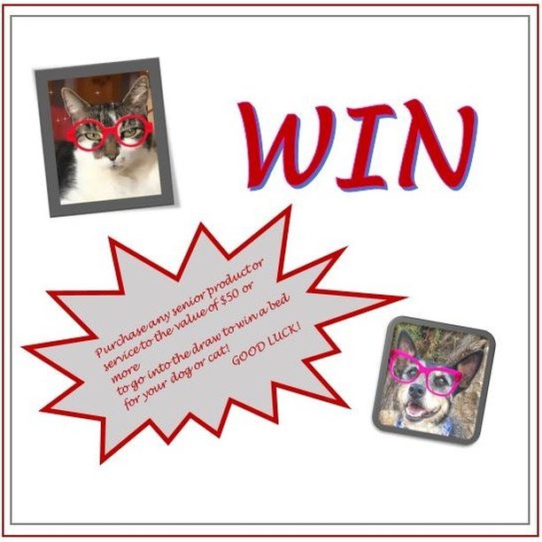 August is senior month at Marius Veterinary Clinic
Purchase any senior product or 
service to the value of $50 or more to go into the draw to win a bed for your dog or cat!
 GOOD LUCK