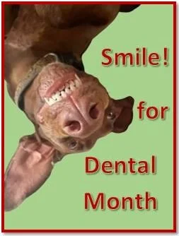 August is Dental MONTH! (click here)