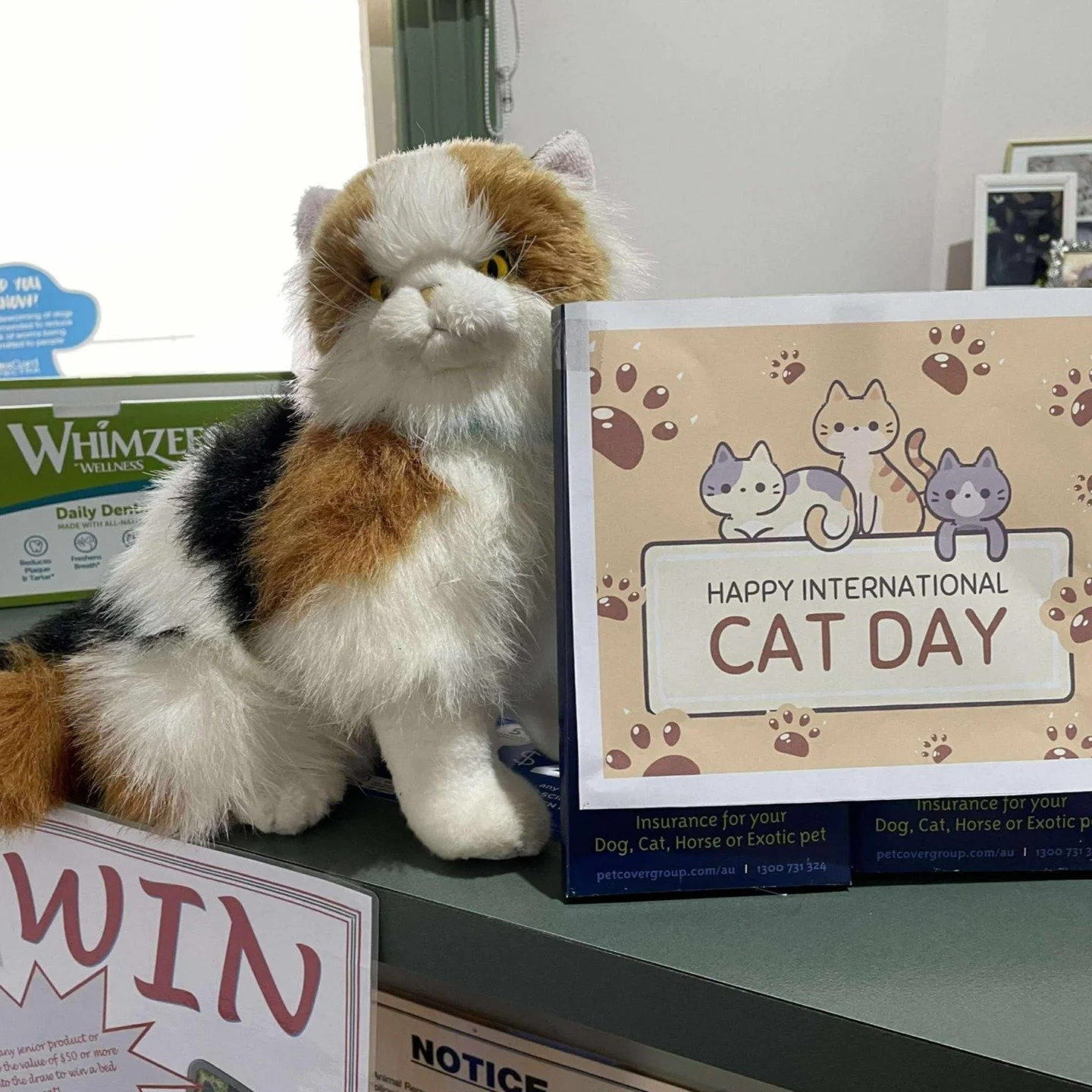 Happy International Cat Day! 🐱
Click on this link to our Facebook page, comment with a photo of your cat, and go into the draw to win a prize for your cat! 😊(Copy and past the link if it doesn't take you to facebook directly) https://www.facebook.c