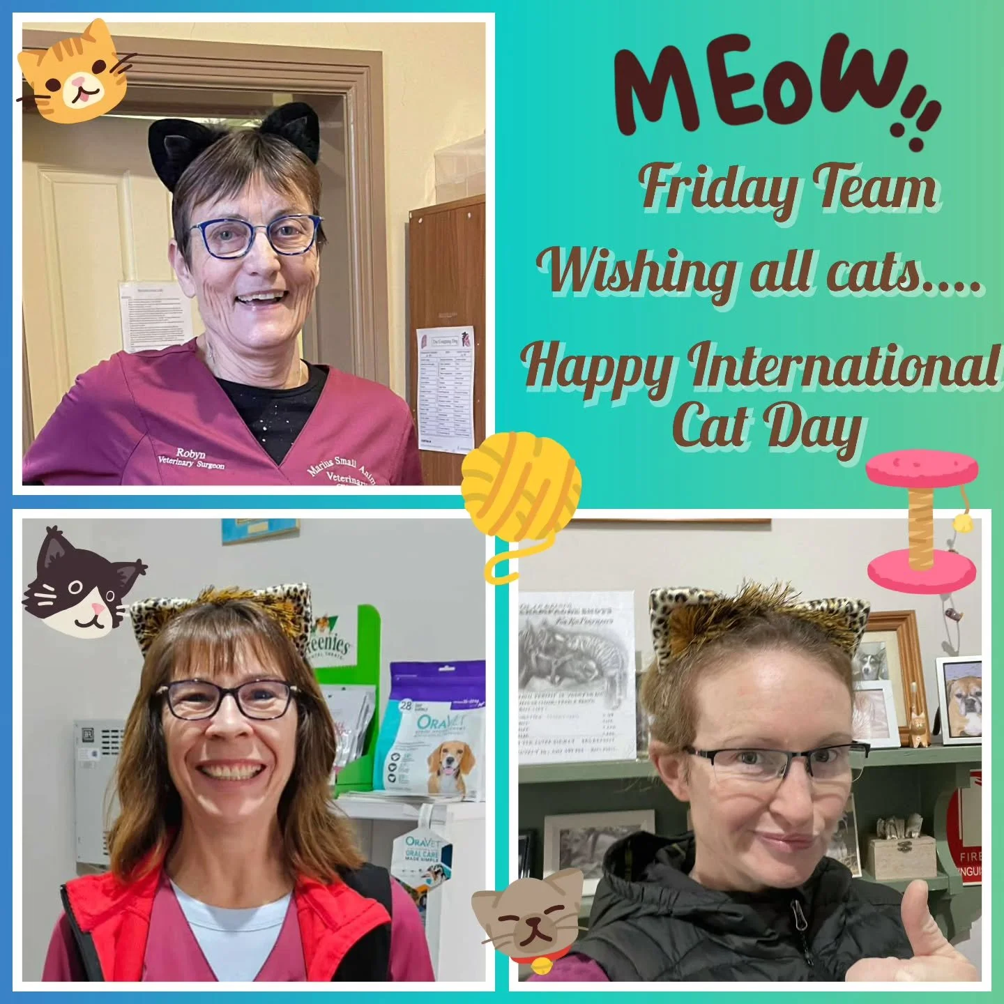 Marius Veterinary Clinic Friday Team, Robyn,  Wendy and Kate getting into the spirit of International Cat Day!🐈😊