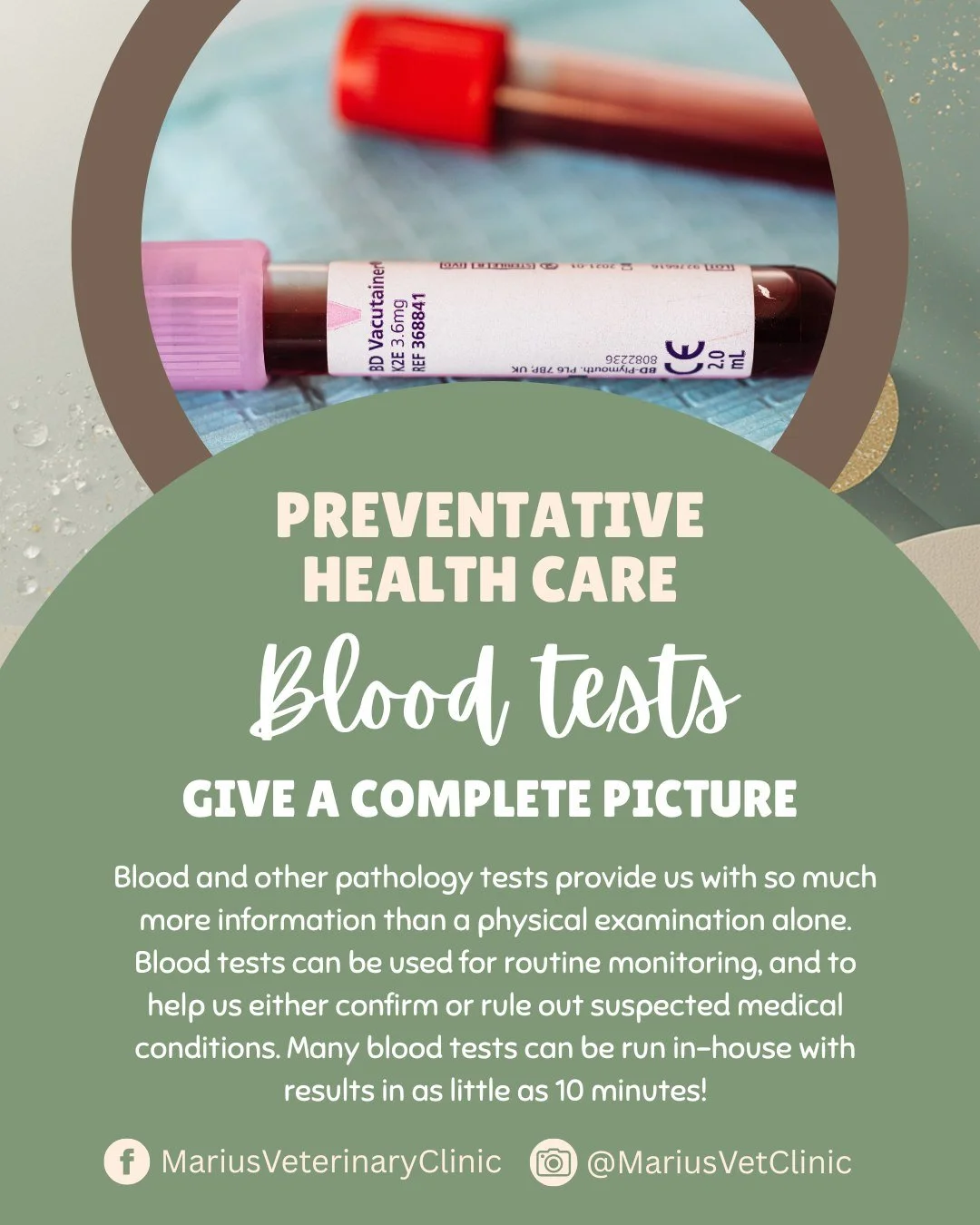 Did you know? Blood and other pathology tests aren't just for when your pet is unwell.. these tests give us sooo much more information than a physical exam, and incorporating them into your pet's general health screening can help alert us to health c