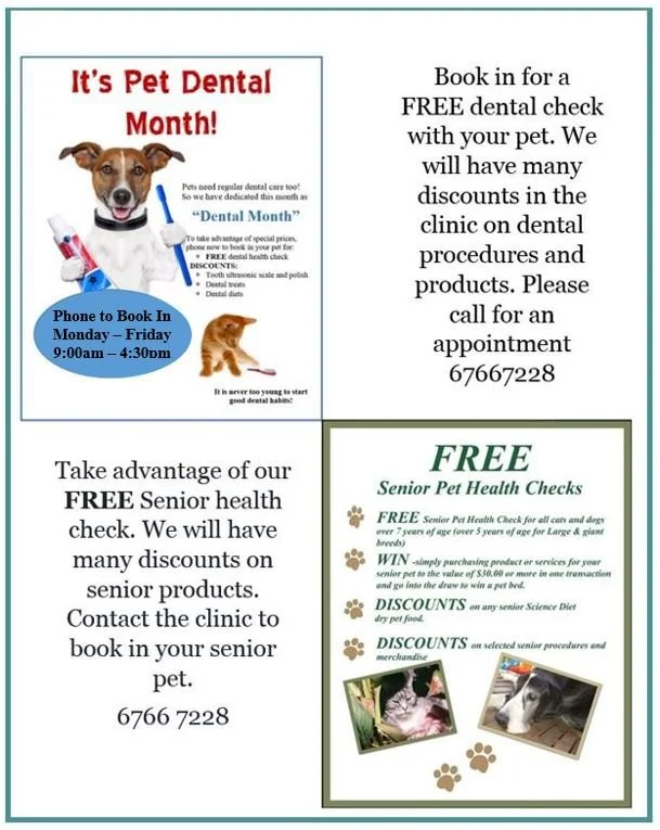 August is Senior and Dental MONTH! — Marius Small Animal Veterinary Clinic