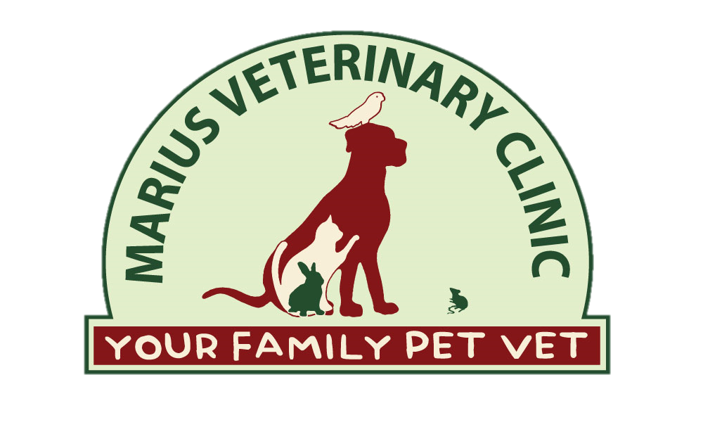 Marius Small Animal Veterinary Clinic