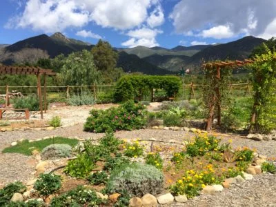 Garden1.jpeg