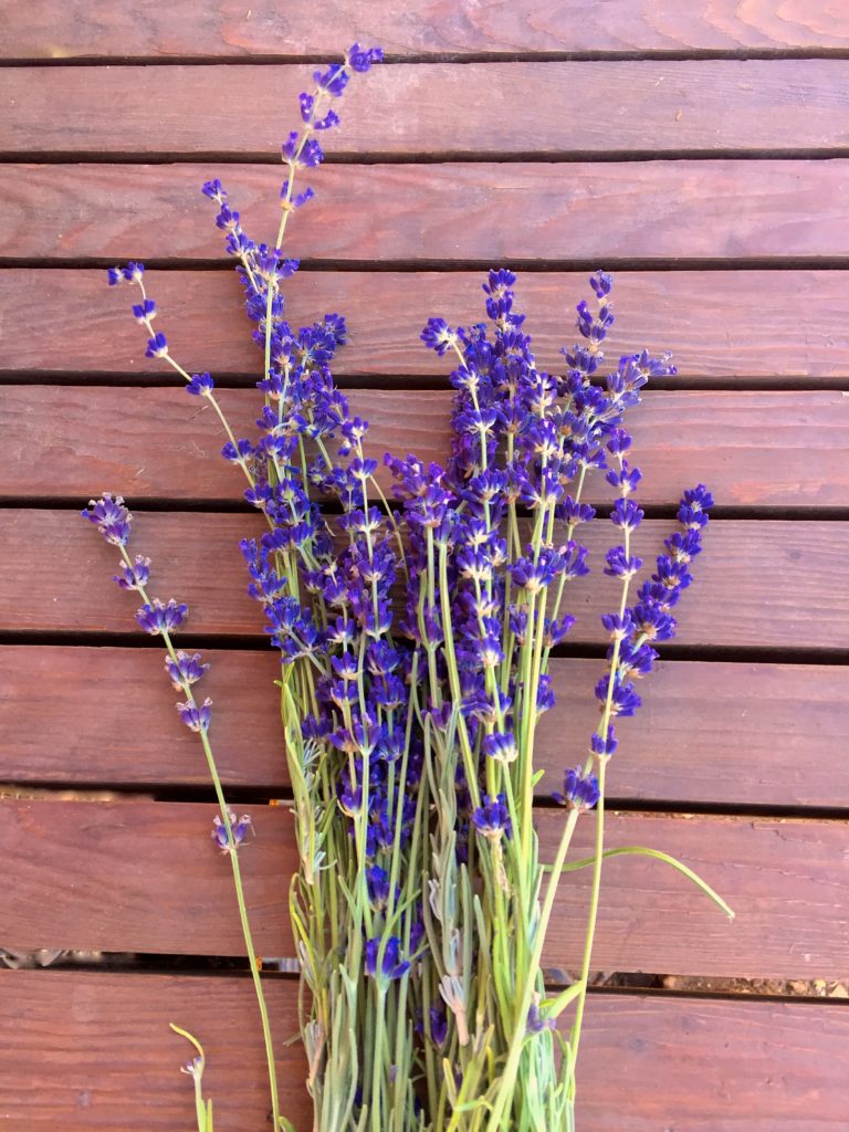 Garden lavender on table.jpg