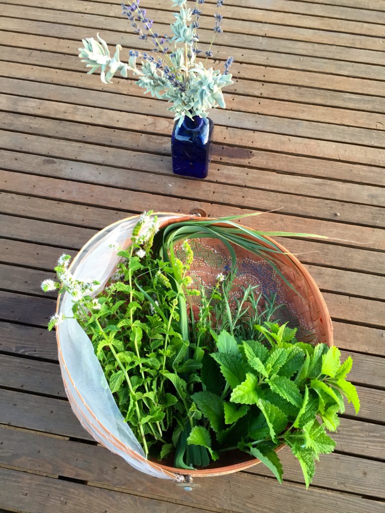 herbs in basket on table.jpg