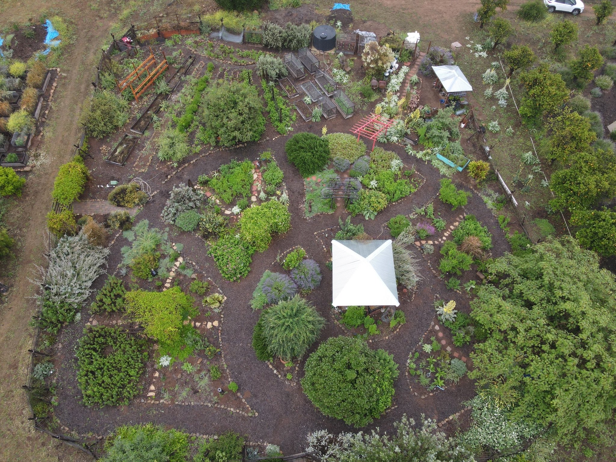 dji_fly_20230611_091238_63_1686499996102_photo.jpeg