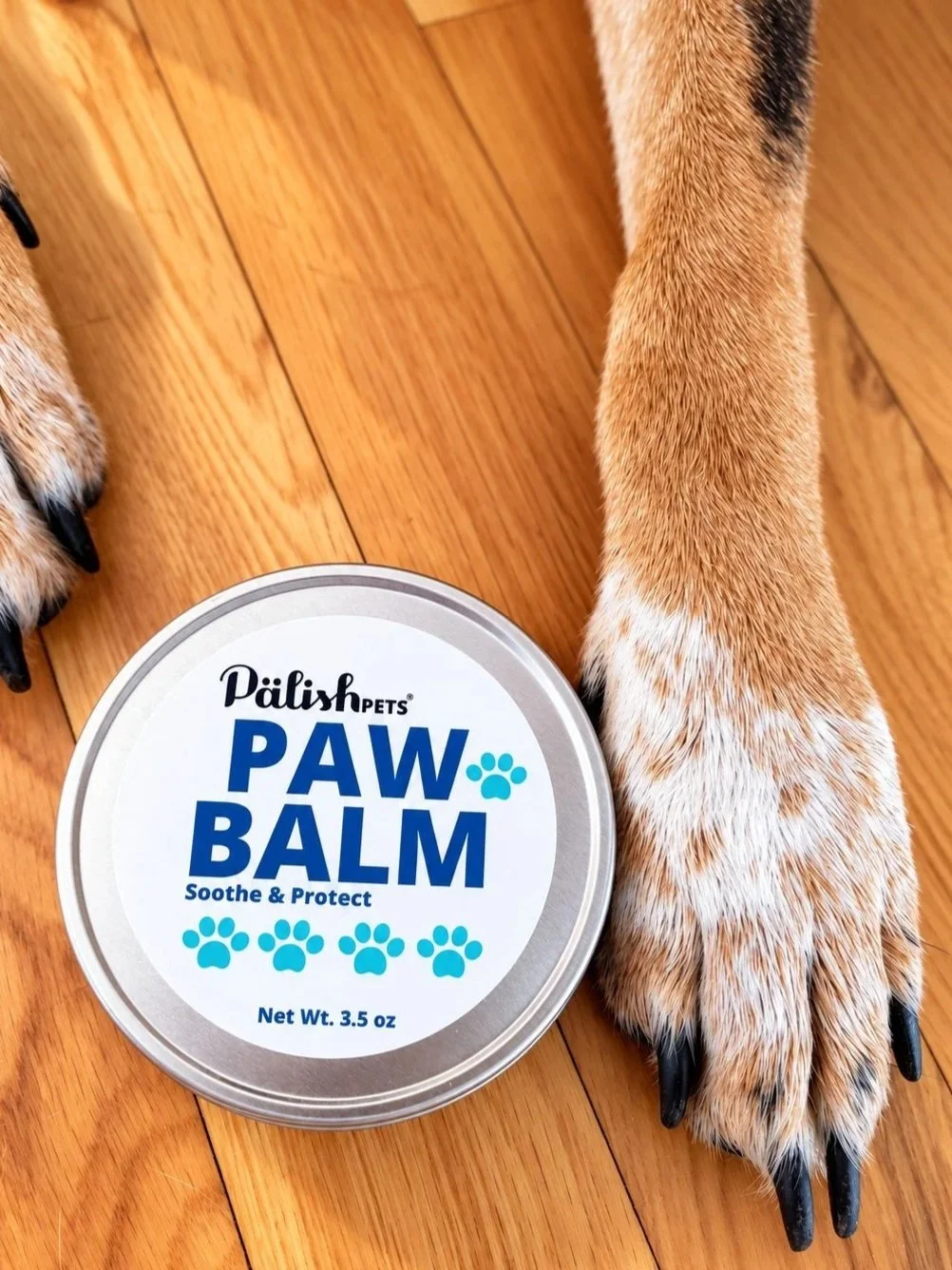 paw-balm-dog-palish.jpg