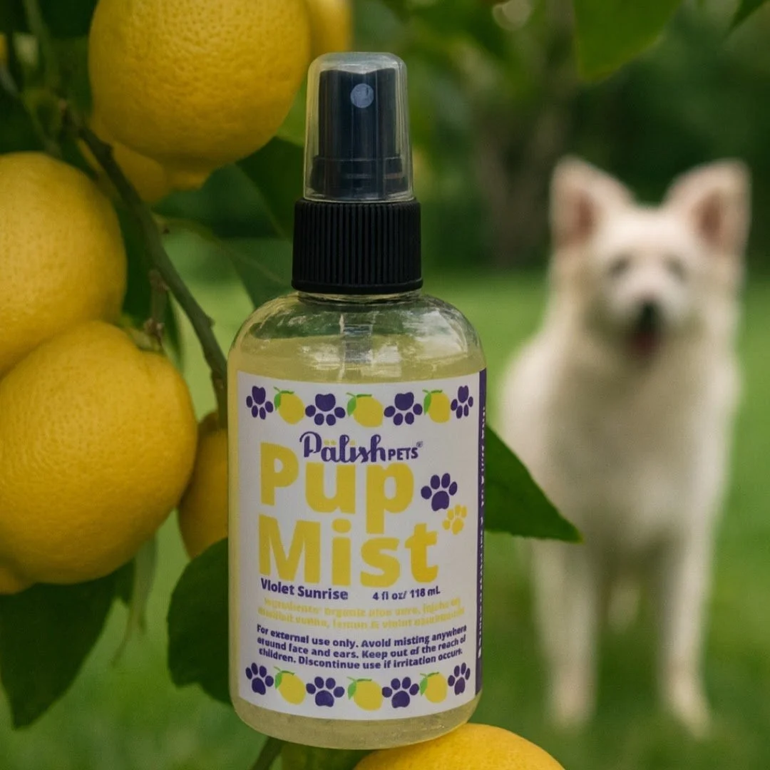 a husky sits down behind the violet pup mist made by palish natural skincare made in small batches in columbus ohio.jpg