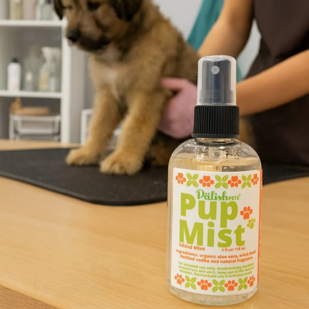 Mint and amber pup mist in a pup spa where it is used to keep all the pups smelling fresh and clean after and before baths made by palish in columbus ohio.jpg