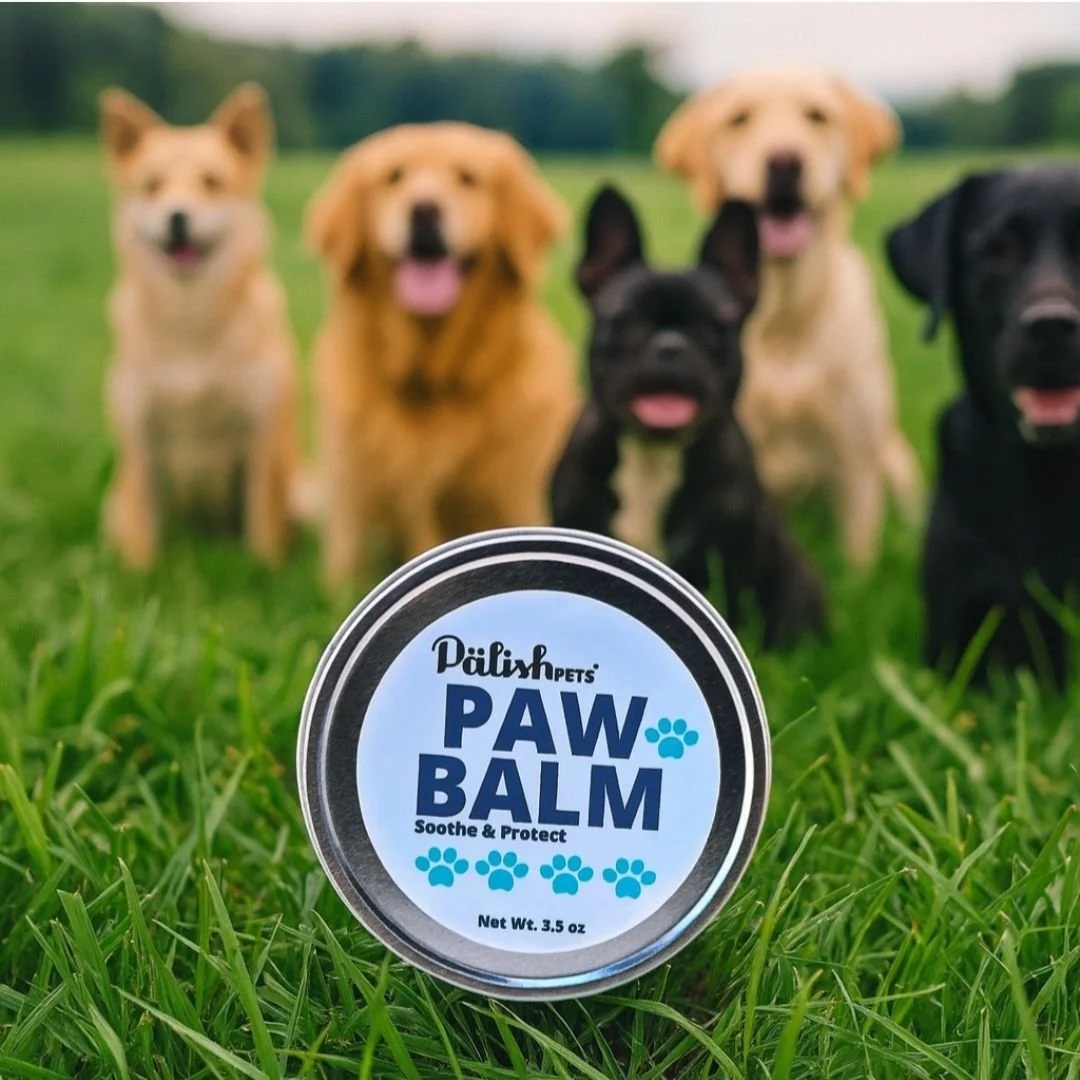 Paw balm natural for paws and dry bits on your dog created in small batches by palish natural skincare in columbus ohio .jpg