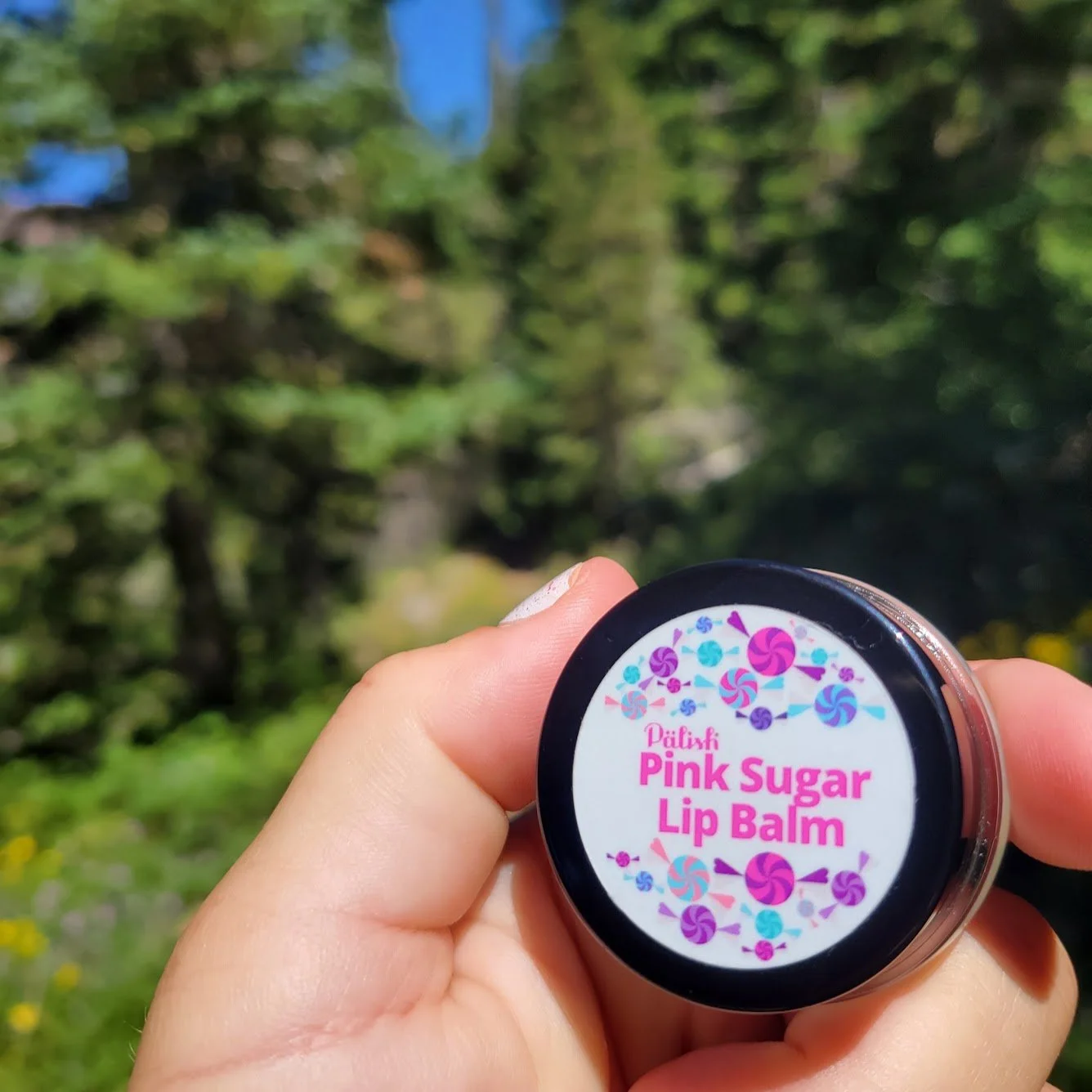 sweet and natural lip balm in the woods on hike for a little sweetness on backbacking trail made by palish in ohio.jpg