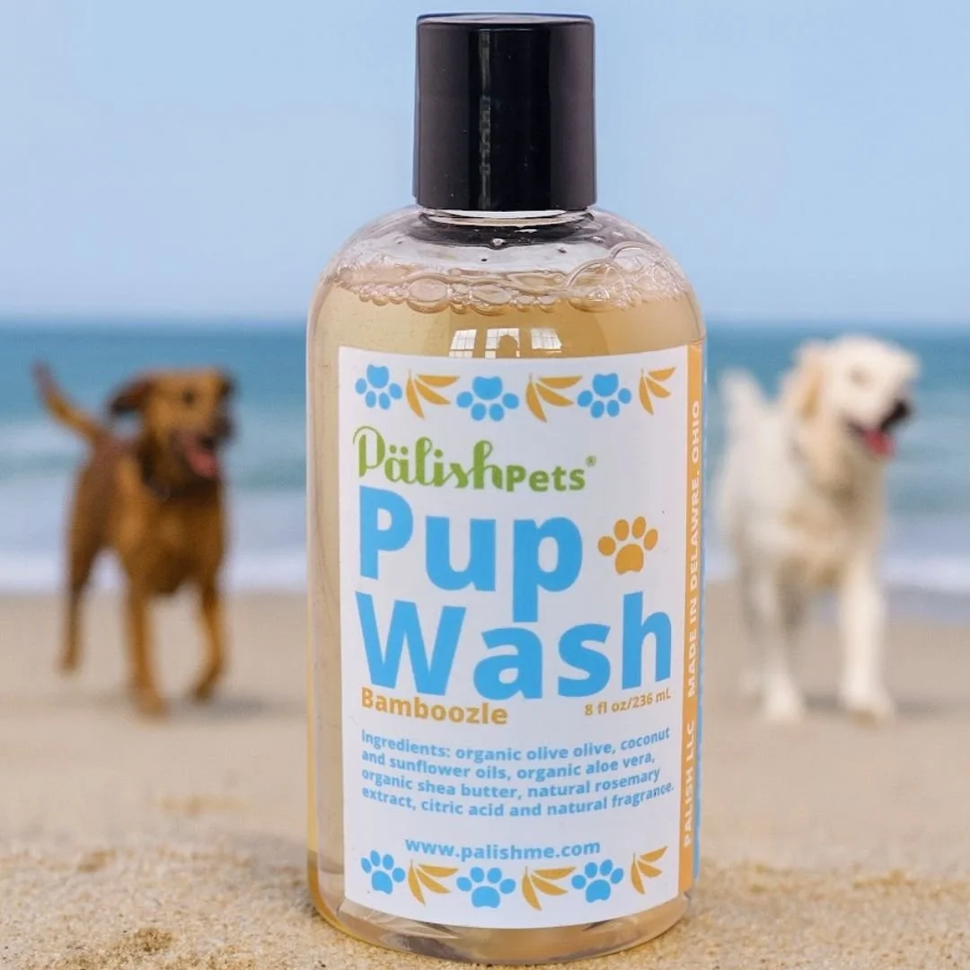 Dog wash made with clean ingredients on the beach with dogs in the background for a natural bath that is gentle.jpg
