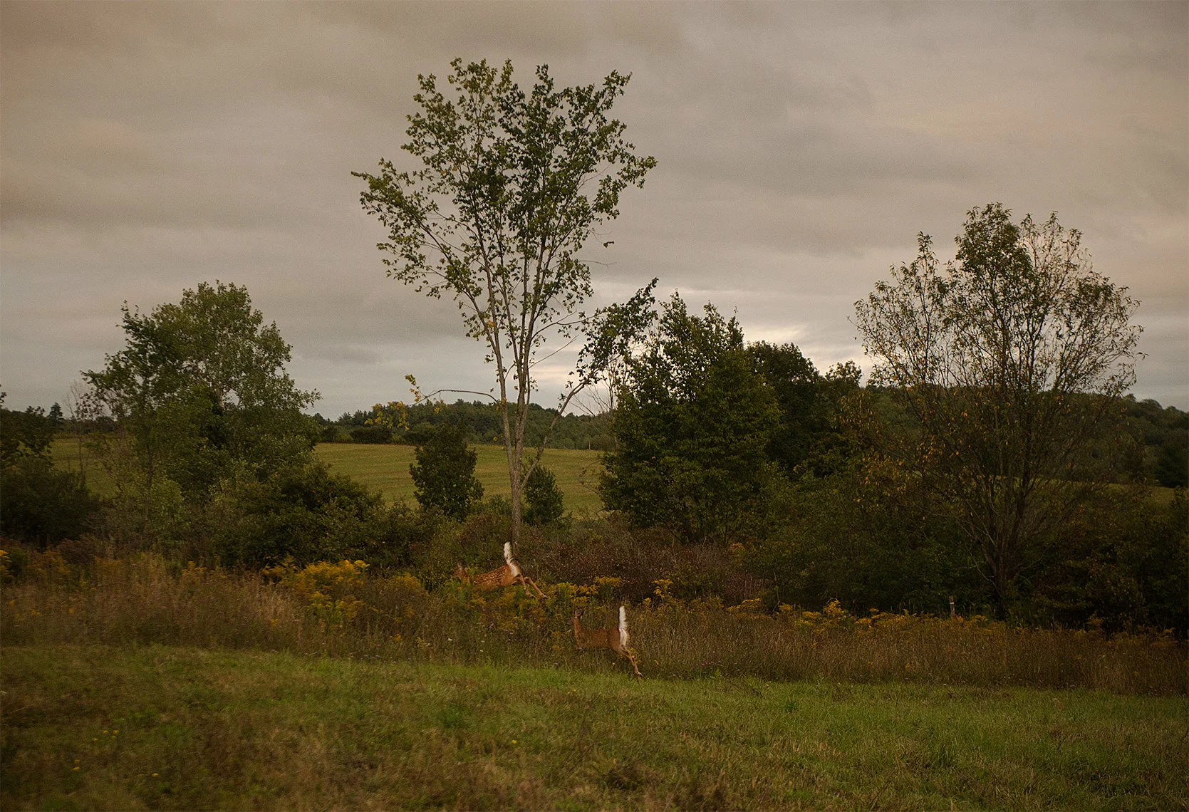 _DSC7863b.jpg