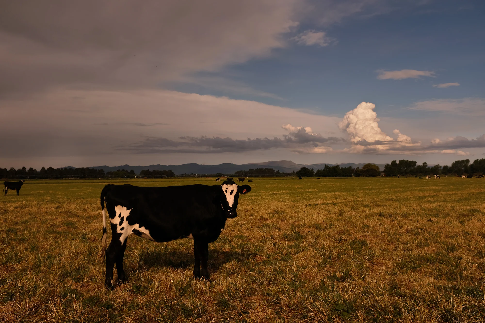 "Long White Cloud" Part 1 - Aotearoa - New Zealand