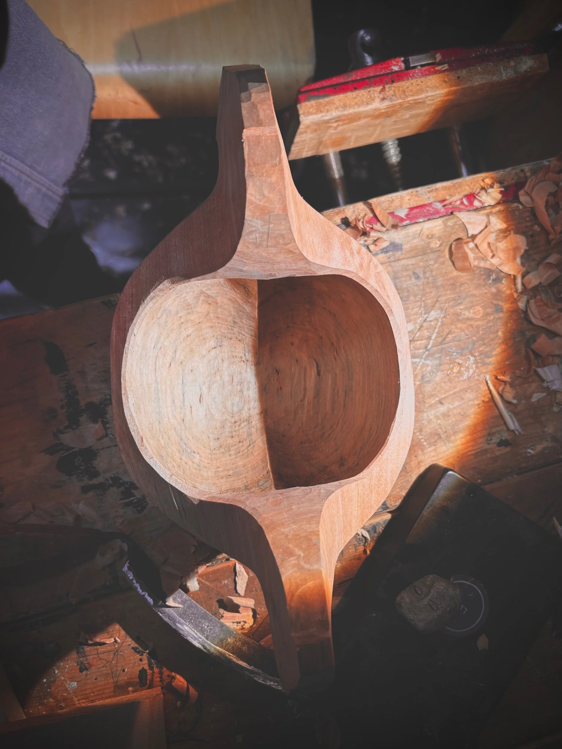 499F3DE8-D96E-477A-A1B1-0F92DD96779F